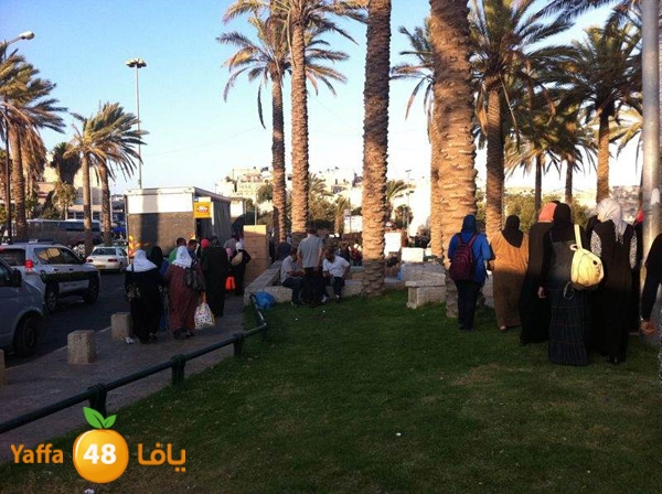 byareq 2 busses (19).jpg